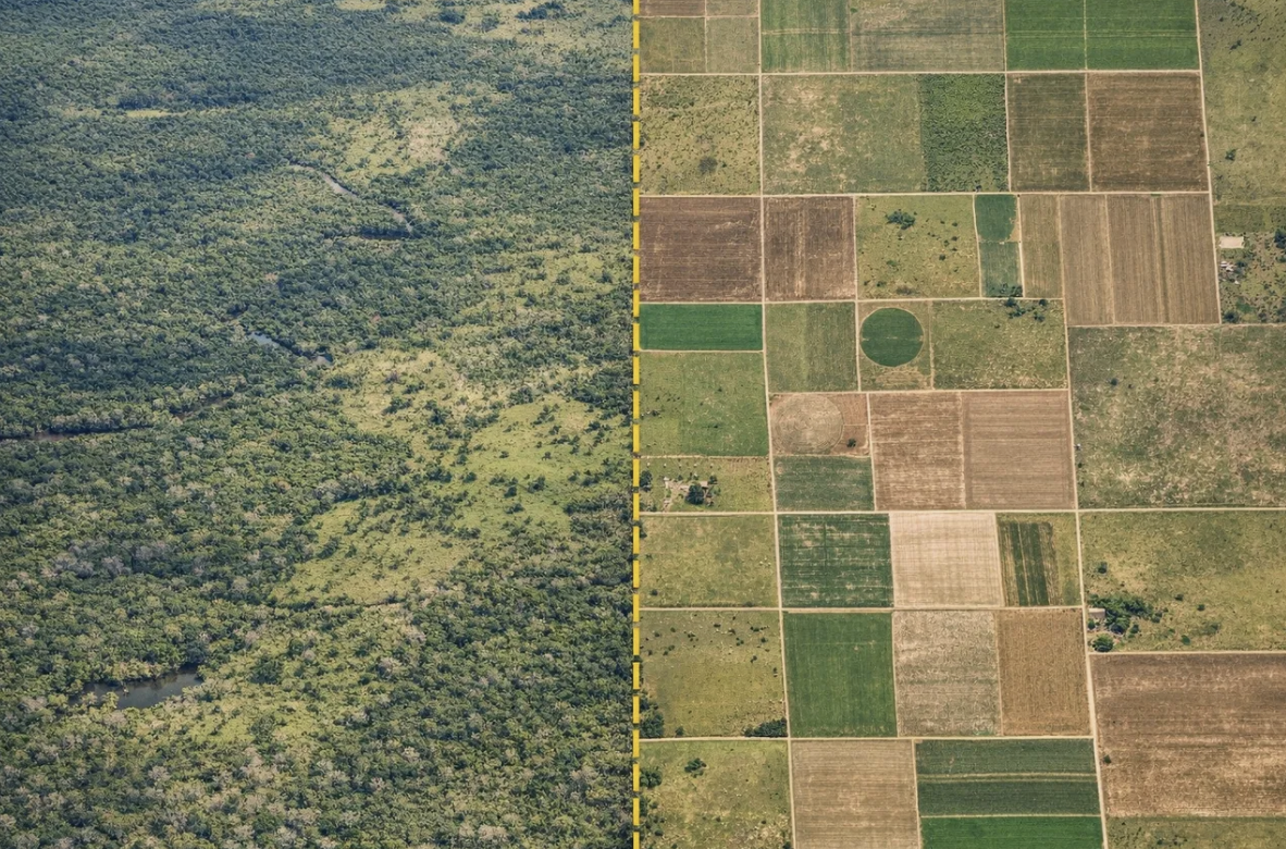 Brazil’s Cerrado Growth Model: State Capacity and Land Governance